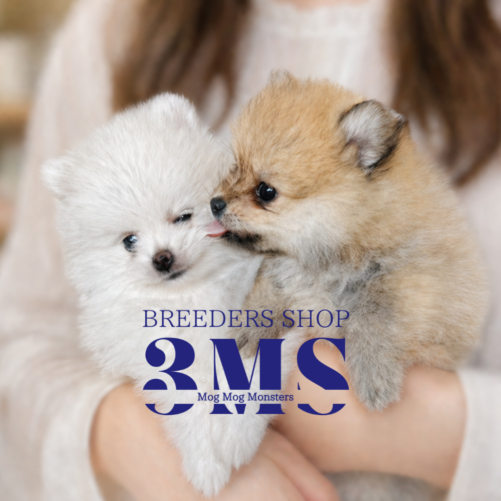 urata yumikoのアバター